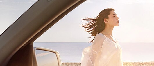 Klimaanlagenreinigung